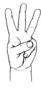 W trademark