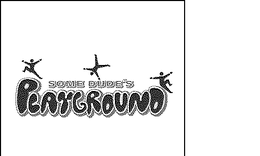 SOME DUDE'S PLAYGROUND trademark