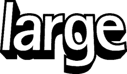 LARGE trademark