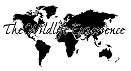 THE WILDLIFE EXPERIENCE trademark
