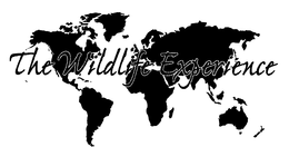 THE WILDLIFE EXPERIENCE trademark