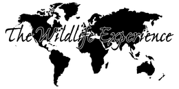 THE WILDLIFE EXPERIENCE trademark