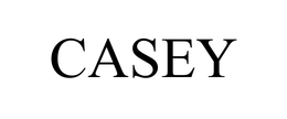 CASEY trademark
