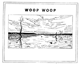 WOOP WOOP trademark