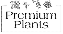 PREMIUM PLANTS trademark