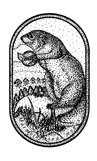 MARMOTA MONAX MONAX trademark