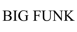 BIG FUNK trademark