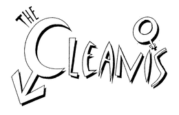 THE CLEANIS trademark