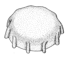 HAT DESIGN trademark