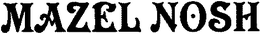 MAZEL NOSH trademark