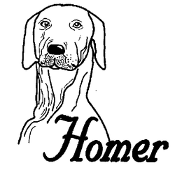 HOMER trademark