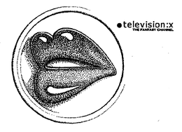 TELEVISION:X THE FANTASY CHANNEL trademark