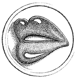 LogoMark trademark