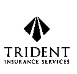 TRIDENT INSURANCE SERVICES trademark
