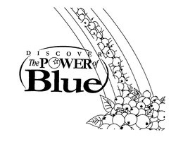 DISCOVER THE POWER OF BLUE trademark