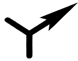 Y trademark