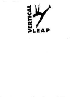 VERTICAL LEAP trademark