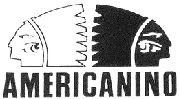 AMERICANINO trademark
