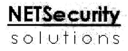 NETSECURITY SOLUTIONS trademark