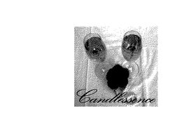 CANDLESSENCE trademark