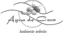 AGUA DE COCO AMBIENTE SELECTO trademark