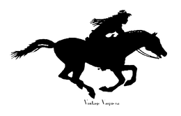 VINTAGE VAQUERA trademark