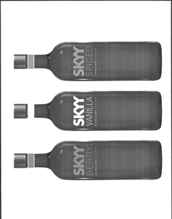 SKYY VODKA trademark