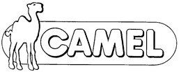 CAMEL trademark