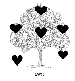 BWC trademark