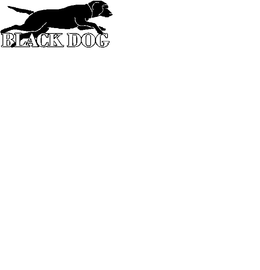 BLACK DOG trademark