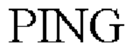 PING trademark