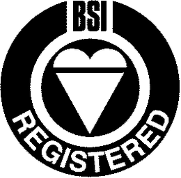 BSI REGISTERED trademark