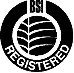BSI REGISTERED trademark