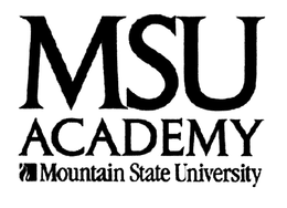 MSU ACADEMY trademark