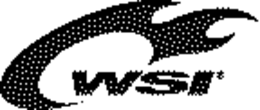WSI trademark