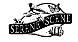 SERENE SCENE trademark