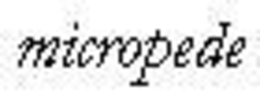 MICROPEDE trademark