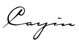 CAYIN trademark