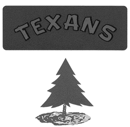 TEXANS trademark