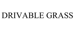DRIVABLE GRASS trademark