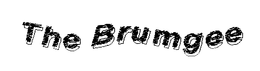 THE BRUMGEE trademark