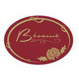 BESAME COSMETICS trademark