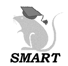 SMART trademark