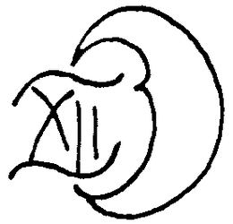 XII trademark
