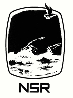 NSR trademark