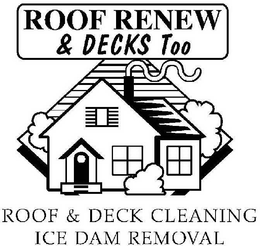 ROOF RENEW & DECKS TOO ROOF & DECK CLEANING ICE DAM REMOVAL trademark