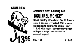 SCAM-CO.'S AMERICA'S MOST AMUSING PET SQUIRREL MONKEY GOOD HEALTHY STOCK FROM SOUTH AMERICA AT A SPECIAL LOW PRICE! WILL AMUSE CHILDREN AND ADULTS FOR HOURS.  ONLY $13.95 WITH CAGE - SEND MONEY ORDER WITH YOUR TELEPHONE NUMBER AND NEAREST AIRPORT.  1395 NO. 4185 $13.95 trademark
