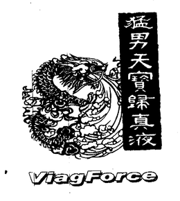 VIAGFORCE trademark