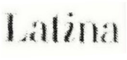 LATINA trademark