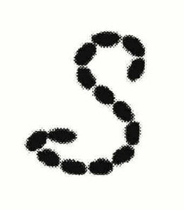 S trademark